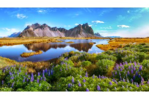 Po stopách vikingů s Vlastimilem Vondruškou