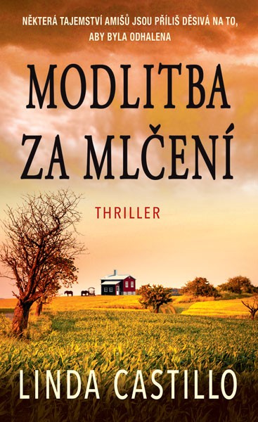 Modlitba za mlčení - Ekniha