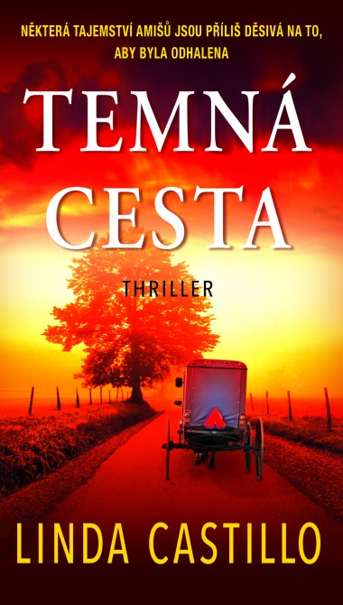 Temná cesta - Ekniha